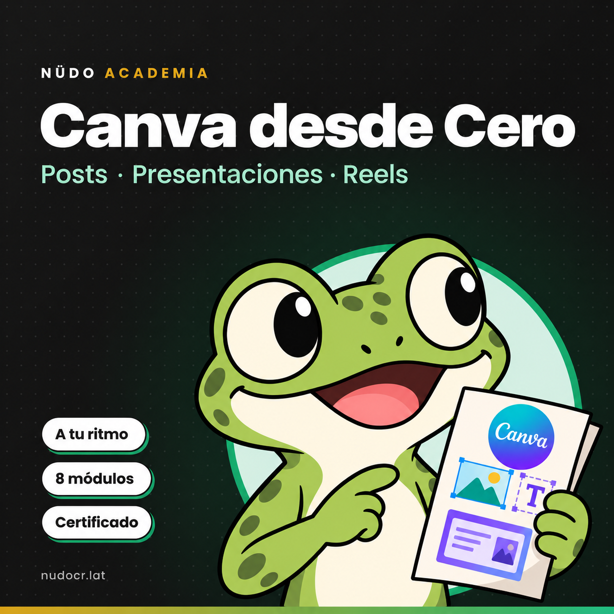 Canva desde Cero: Diseño para Negocios